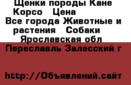 Щенки породы Кане-Корсо › Цена ­ 25 000 - Все города Животные и растения » Собаки   . Ярославская обл.,Переславль-Залесский г.